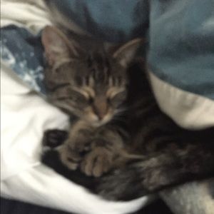 Meet your Posher, Jenna